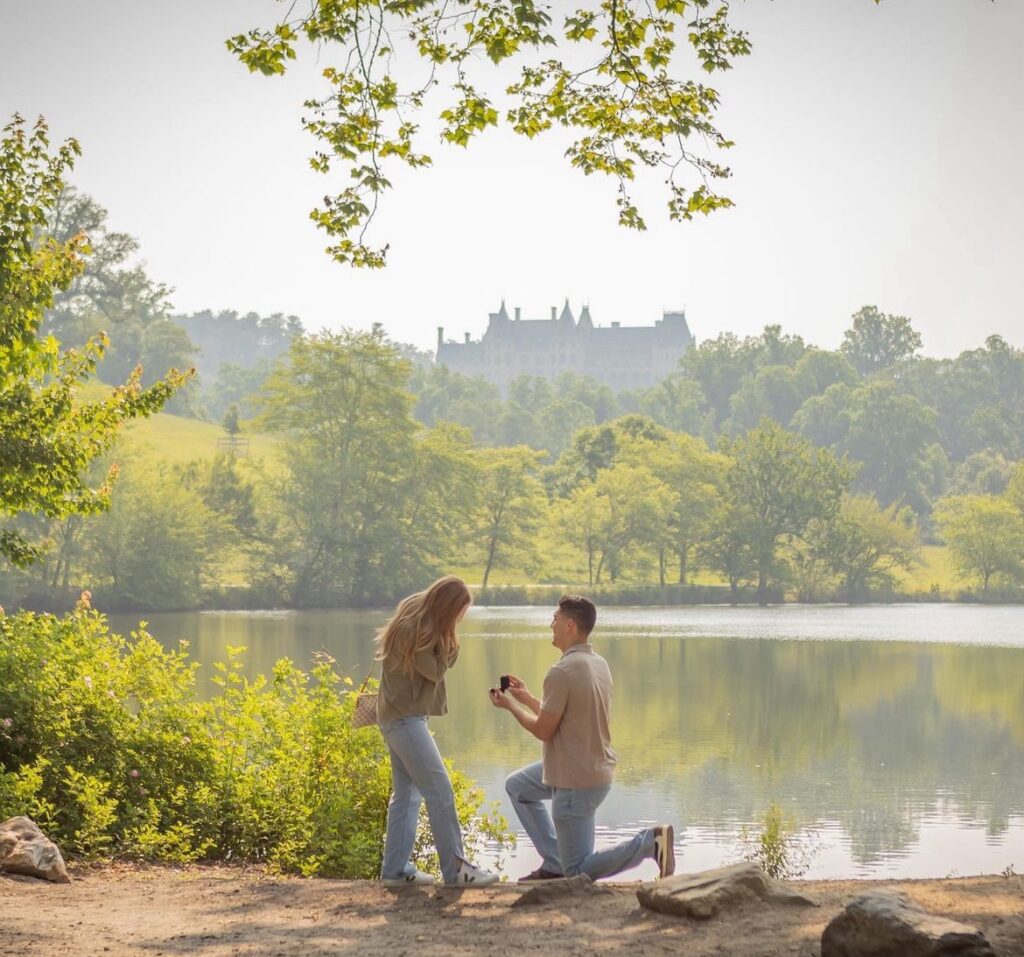 Biltmore House Proposal Ideas
